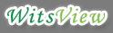 WitsView