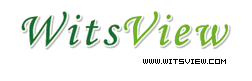 WitsView_LOGO